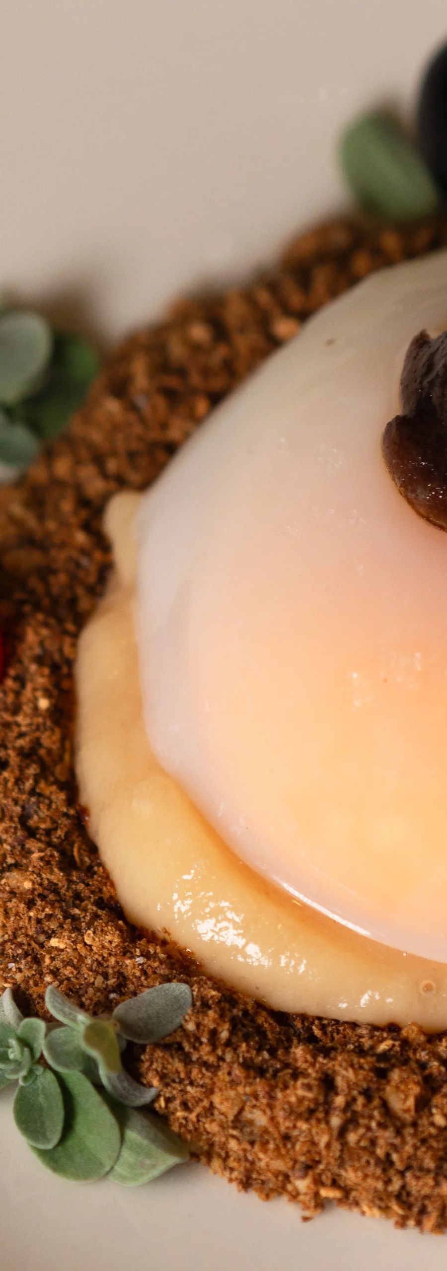 Egg in the undergrowth, the opening course of the Origins vegetarian tasting menu at L'Officina