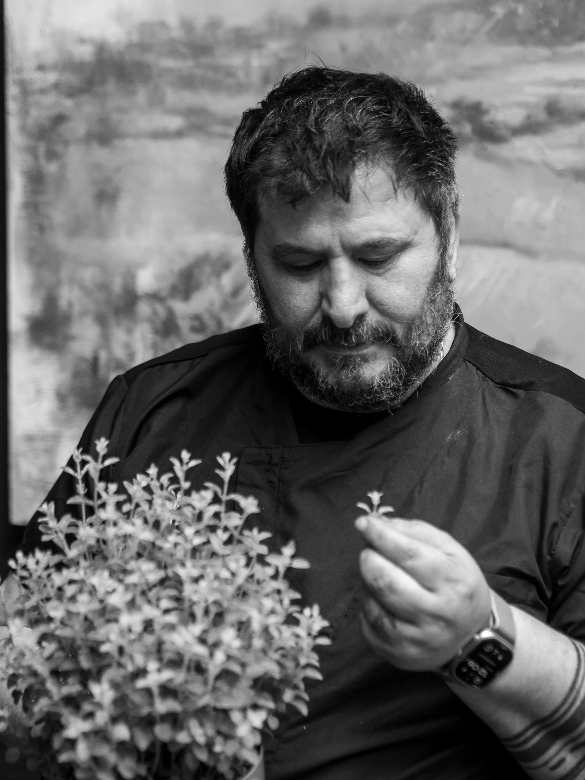 Jiannis - Chef